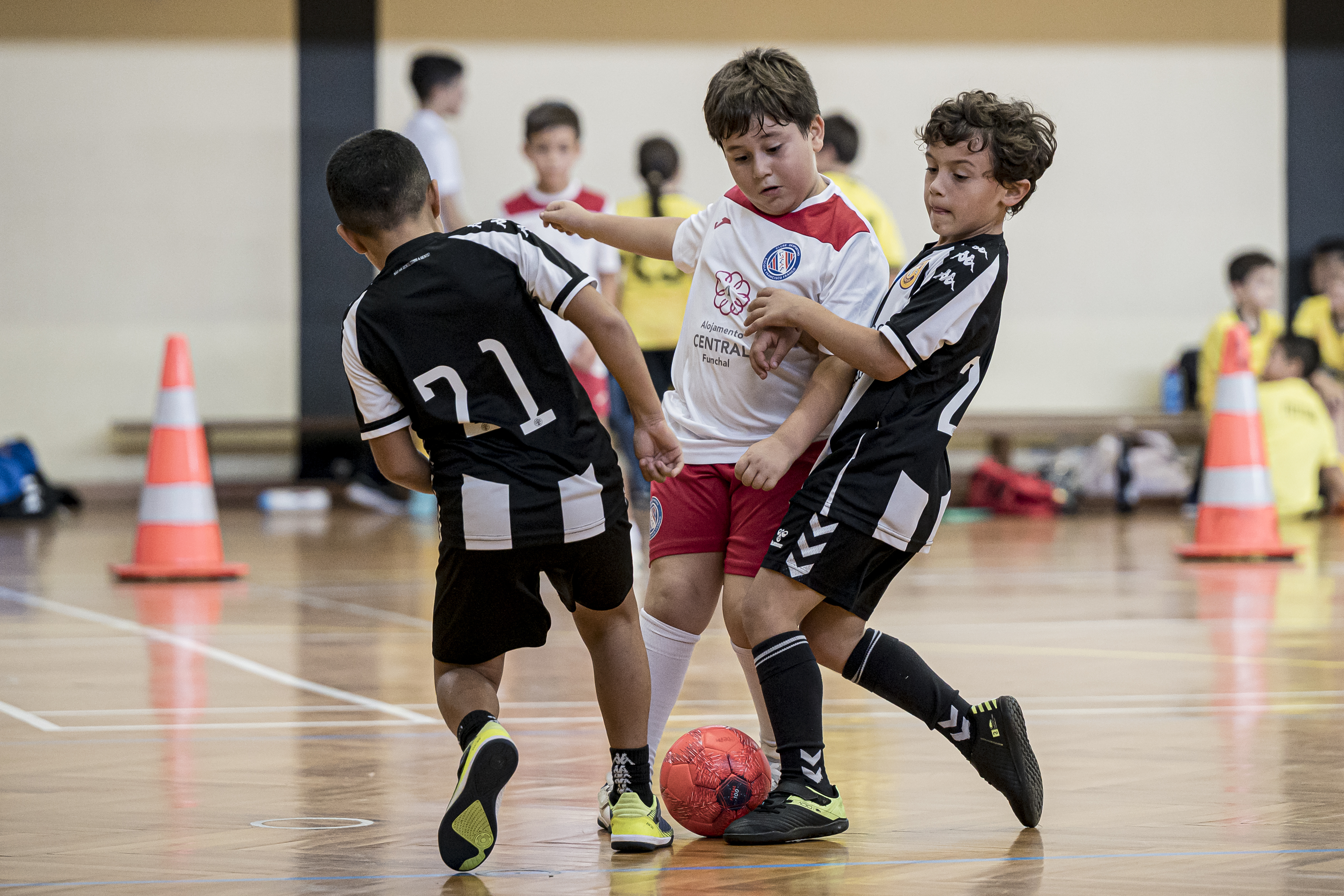 Competição Regional: 29/11/2025 a 05/12/2025